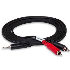 RCA Male to 2 RCA Male Stereo Audio Cable (10 ft)