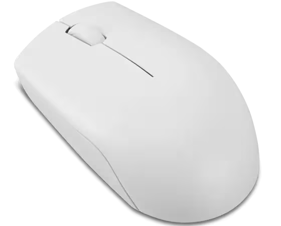 Lenovo 300 Wireless Compact Mouse (Cloud Grey) with battery