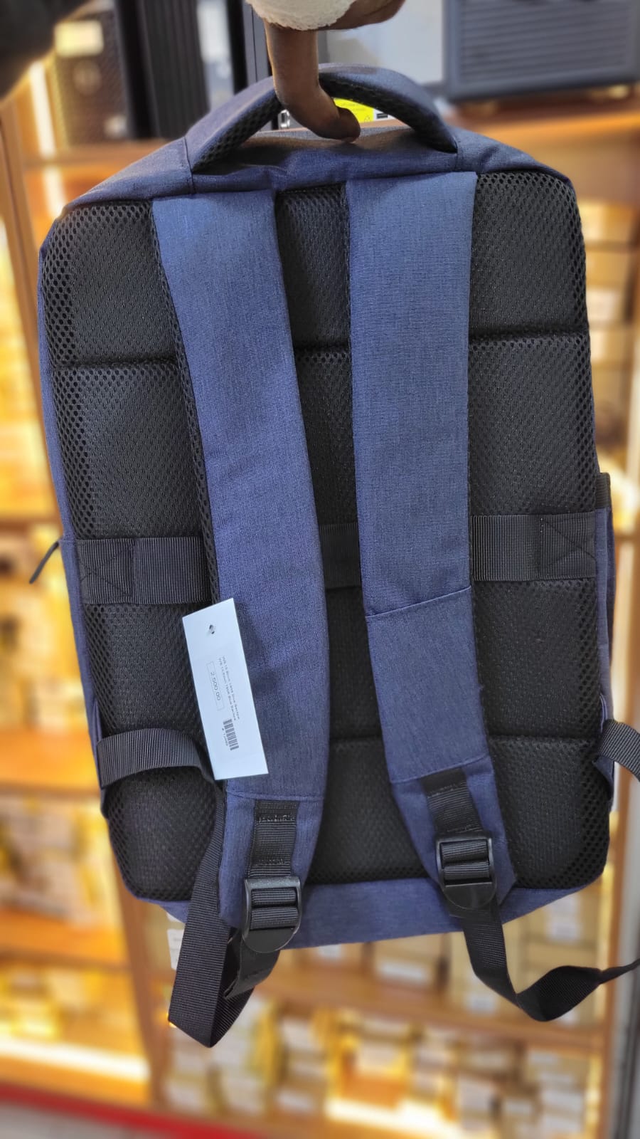 WB 15.6-Inch Backpack
